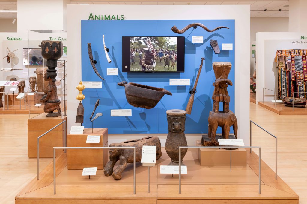 Animals