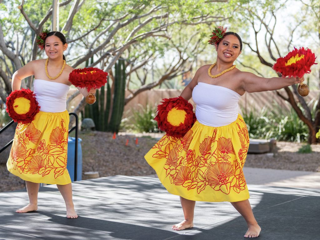 Experience Polynesia